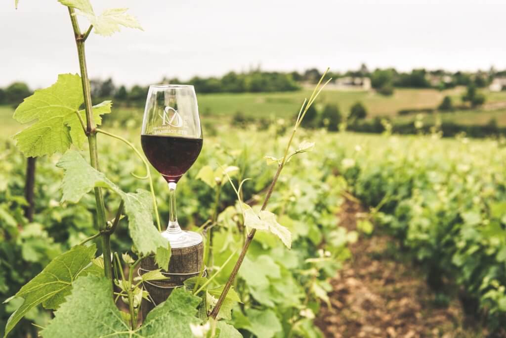 Wine and Health
