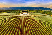 Geographical factors influencing wine growth in North Macedonia