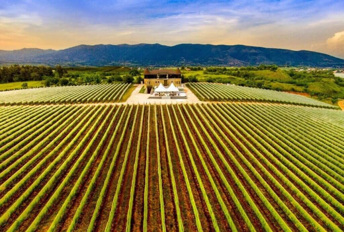 Geographical factors influencing wine growth in North Macedonia