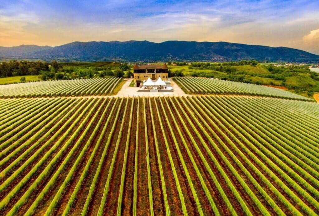 Geographical factors influencing wine growth in North Macedonia