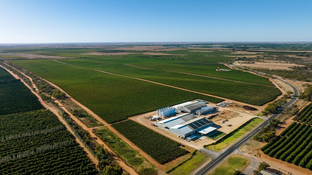 The Australian (Riverland) Red Wine Glut: A Crisis or an Opportunity?