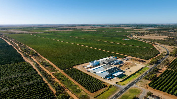 The Australian (Riverland) Red Wine Glut: A Crisis or an Opportunity?