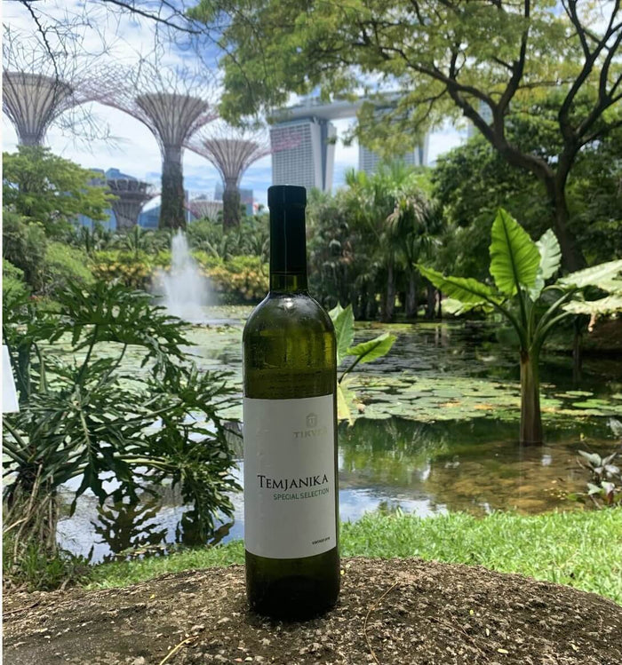 Discovering the Temjanika white wines: Frankincense of grapes
