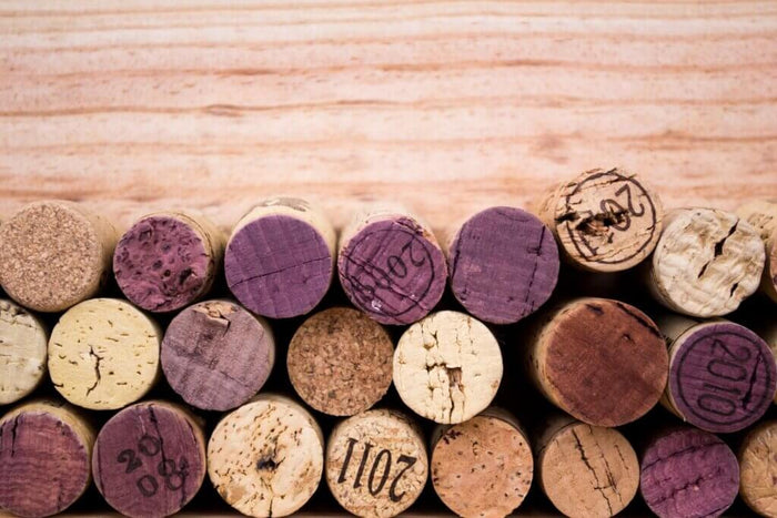 Biodynamic viticulture in North Macedonia