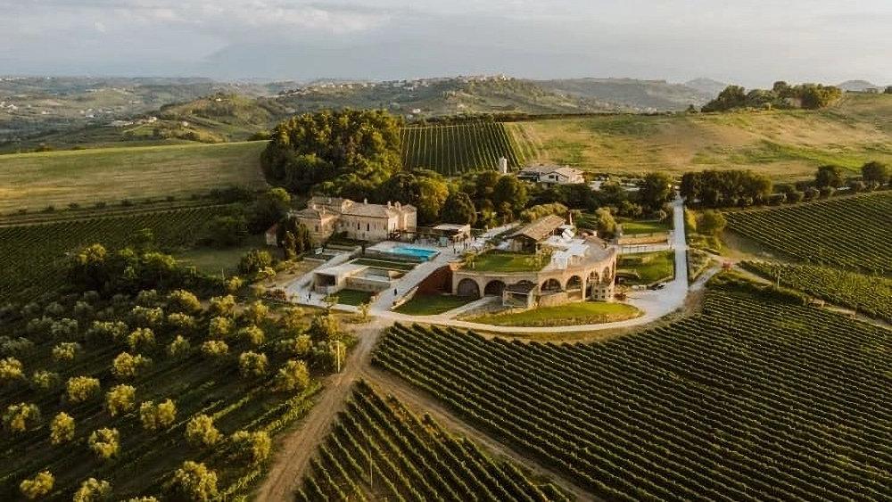 Di Sipio vineyards in Ripa Teatina, Abruzzo, Italy, overlooking the Adriatic countryside near Chieti