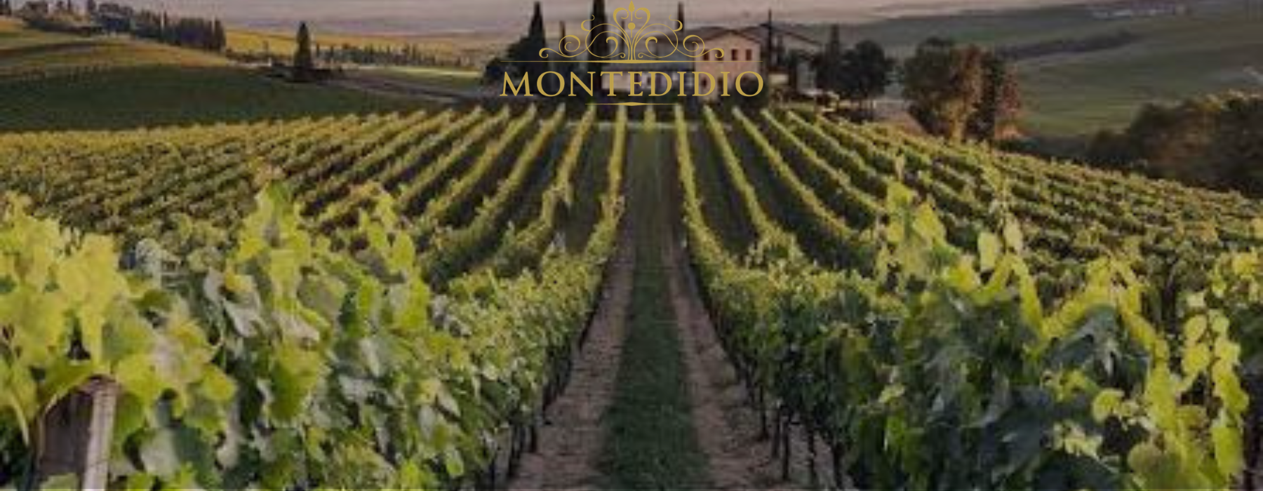 Montedidio Italian wine collection inspired by Sicily and southern Italy