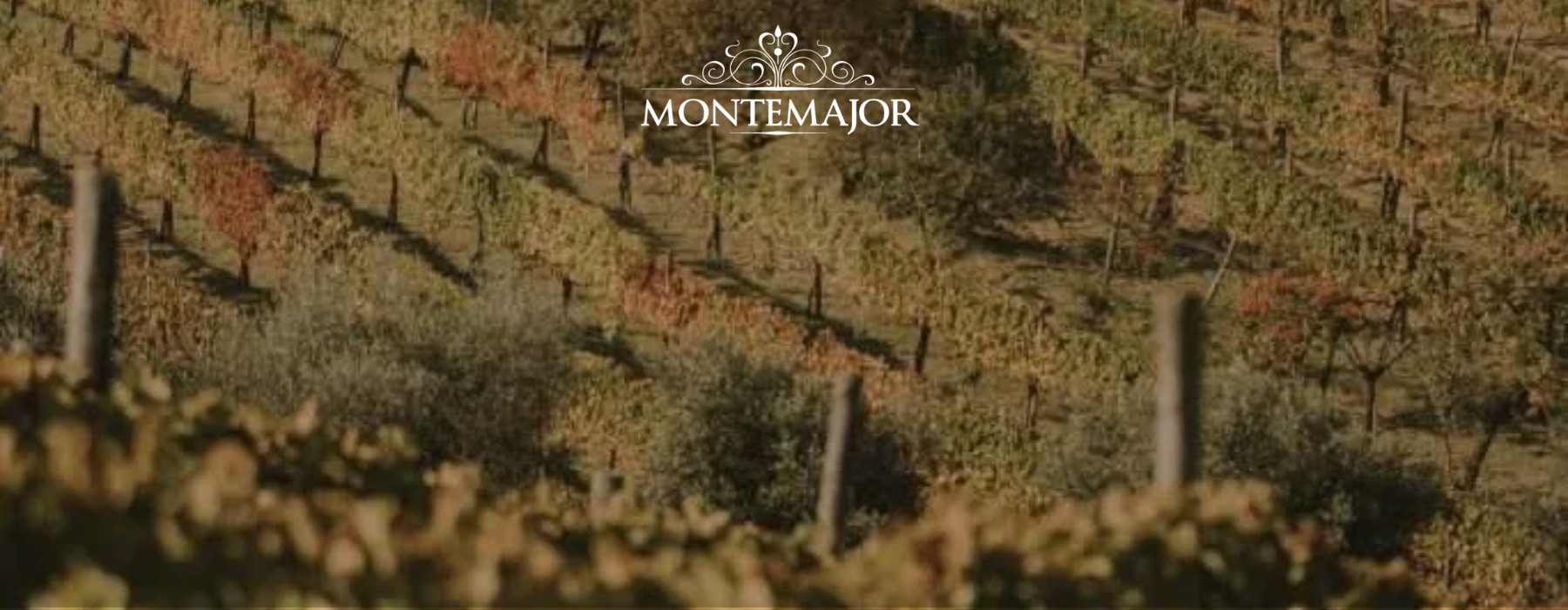 Montemajor winery in the hills of Irpinia, Campania