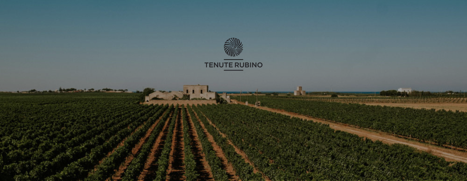 Tenute Rubino vineyards near Brindisi on the Salento coast in Puglia