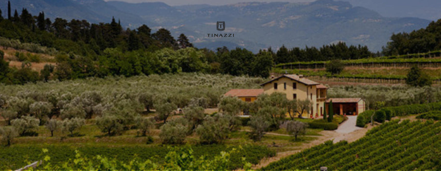 Tinazzi winery landscape in Italy, representing Veneto and Puglia wines from the family-owned Italian producer.