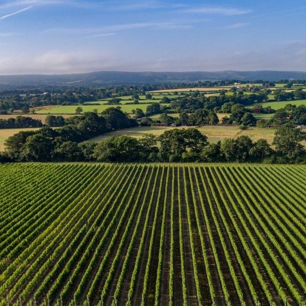 United Kingdom Wines