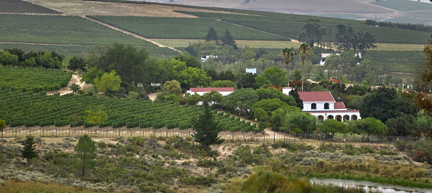 Klein Graniet vineyards on the Simonsberg foothills in Stellenbosch, South Africa